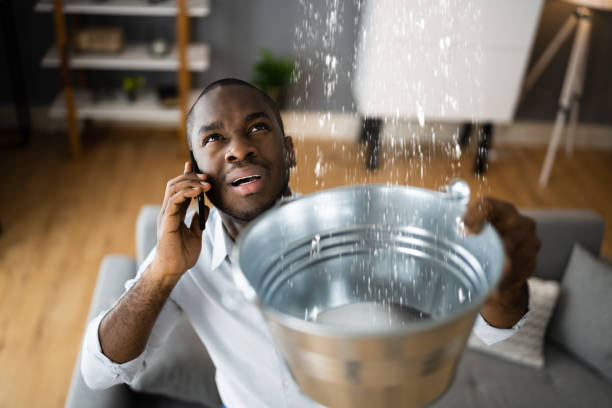 Best Water damage restoration near me  in Lewisburg, KY