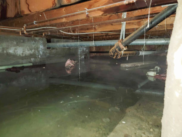 Reliable Lewisburg, KY Water damage restoration Solutions