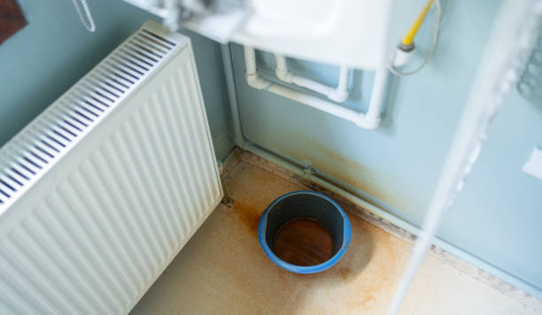 Best Local water damage restoration  in Lewisburg, KY