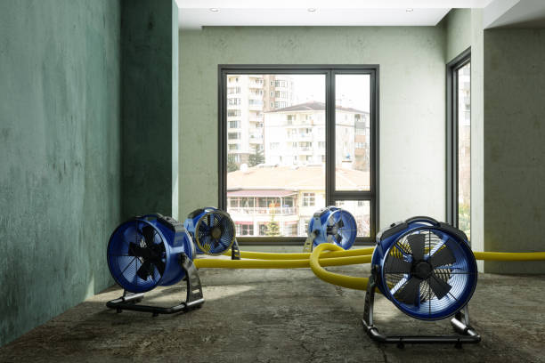 Best Residential water damage restoration  in Lewisburg, KY